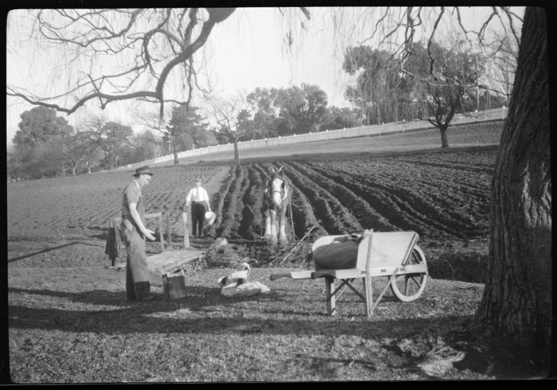History-Kitchen-Garden