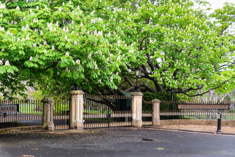Main-Gates-2