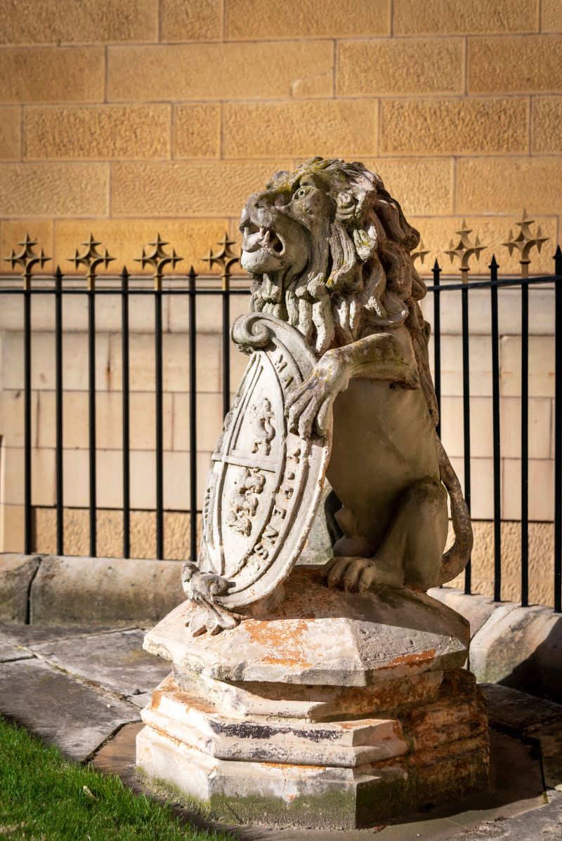 Lions-Court