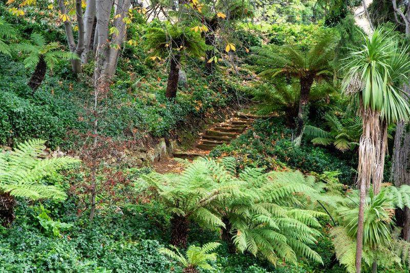 Grounds