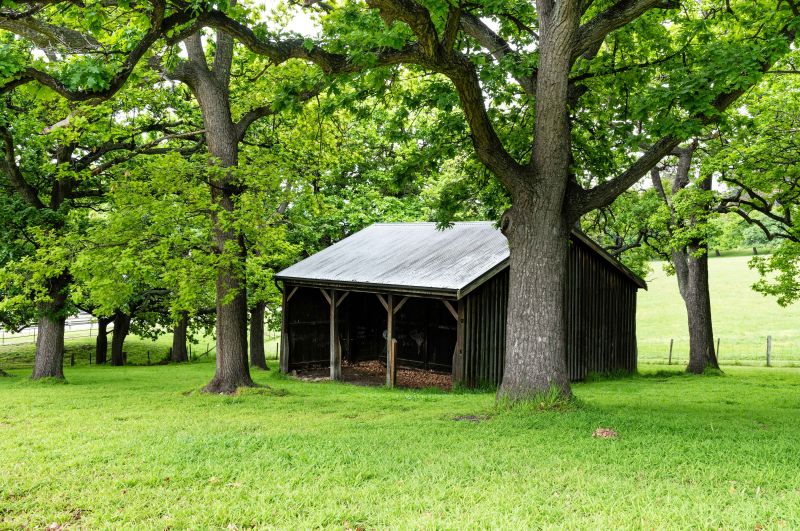 Grounds-2