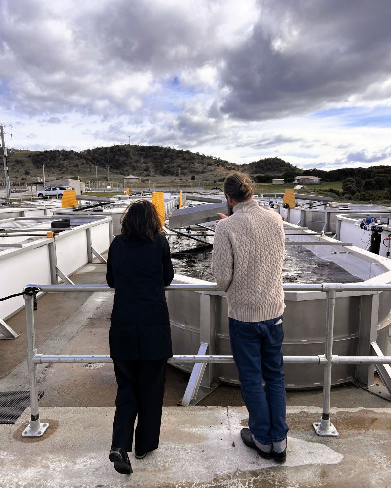 The Governor stands outdoors with a man looking at an on-land seaweed growing facility
