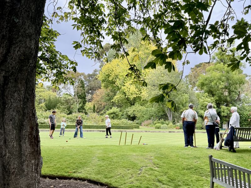 People playing croquet
