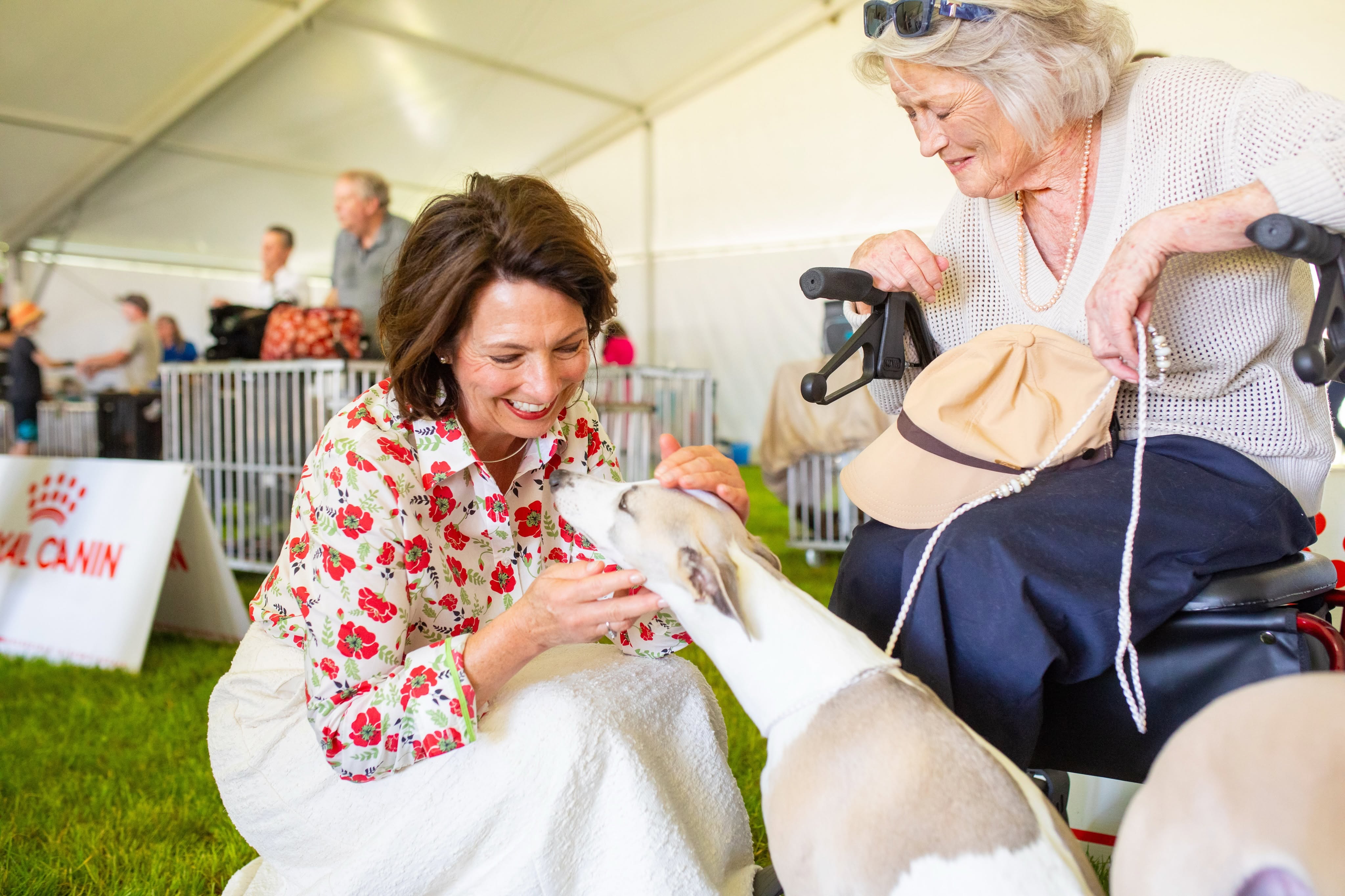 The Governor bends down to pat a dog, while a woman sits next to her and watches on