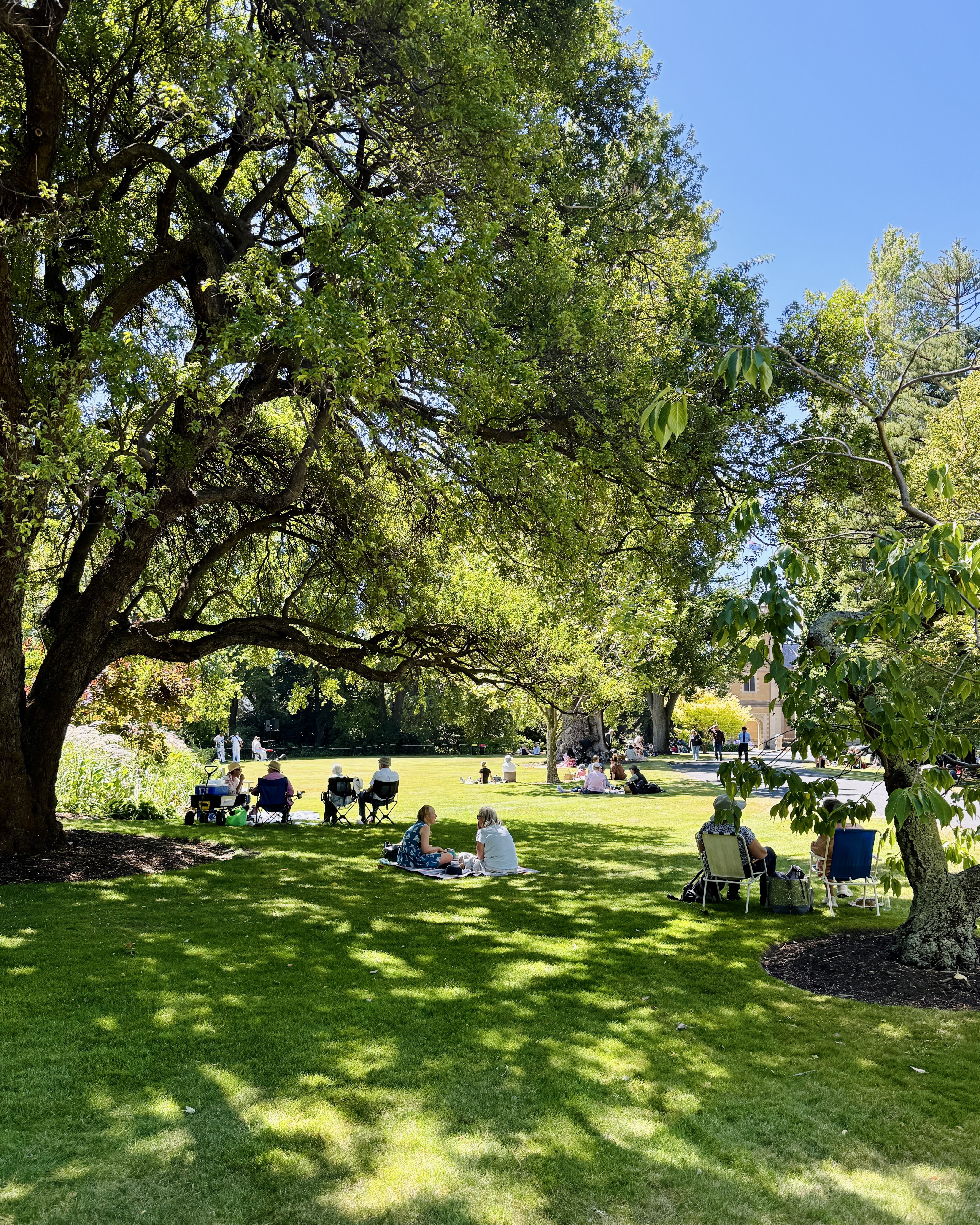 People gather in groups on the Government House lawns, enjoying picnics and sitting on blankets and camping chairs
