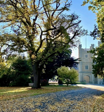 Autumn 4