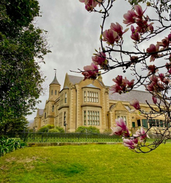 GH + garden - magnolia