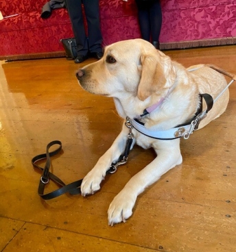 Guide Dogs Tasmania