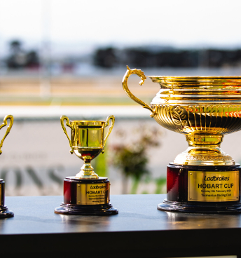 The Hobart Cup