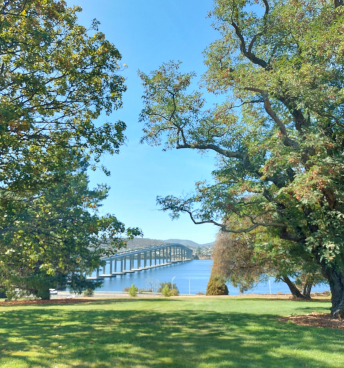 summer time bridge.jpg