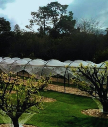 A picture of the Government House orchard with text saying Winter Series of Horticultural Lectures
