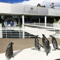 Australian Antarctic Division