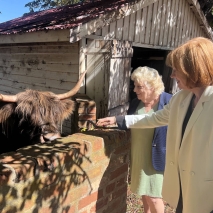 Her Excellency meeting a Highland cow at Ratho Farm