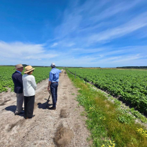 Her Excellency and Professor Chalmers viewing a potato crop