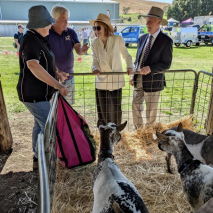 Hamilton Agricultural Show 14-03-26