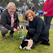 Launceston Show