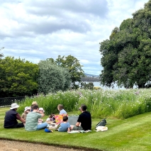 Lunch on the Lawn