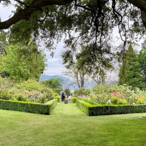 A photo of the Government House gardens with text that reads 'Lunch on the Lawns'