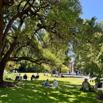 Lunch on the Lawns 20-02-26
