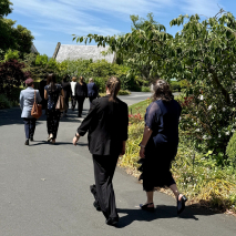 Mentor Walks Hobart 11-12-25