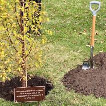 Ceremonial Tree Planting