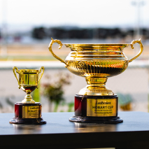 The Hobart Cup