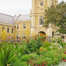 Government House Grounds