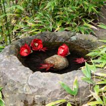 japanese-pond-stone-basin