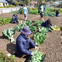 kids-to-farms