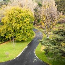 reconciliation-tasmania-youth