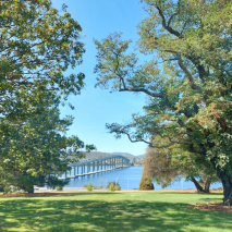 summer time bridge.jpg