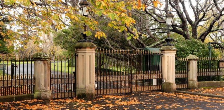 culturally-diverse-alliance-of-tasmania