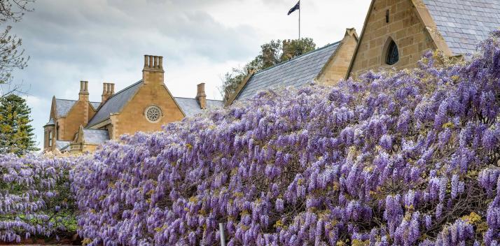 glenview-community-services