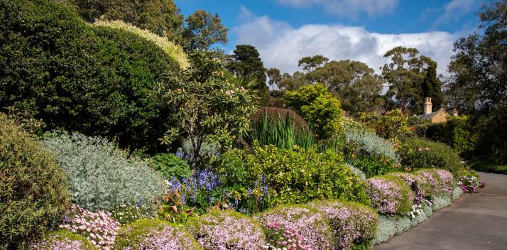 international-affairs