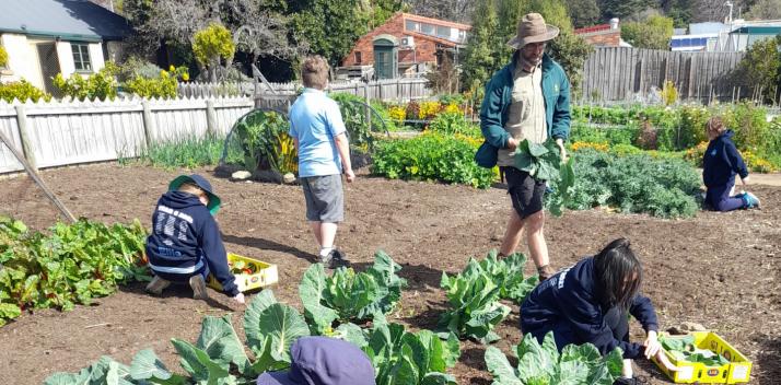 kids-to-farms