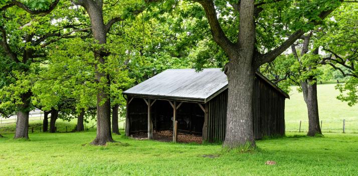 order-of-australia-association