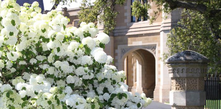 royal-australian-airforce