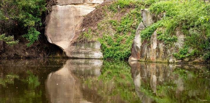 tasmanian-community-fund