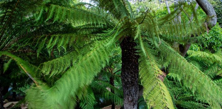 thursday-9-september