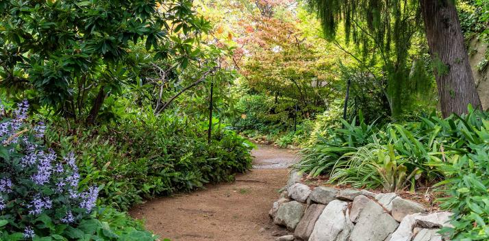 wednesday-1-september