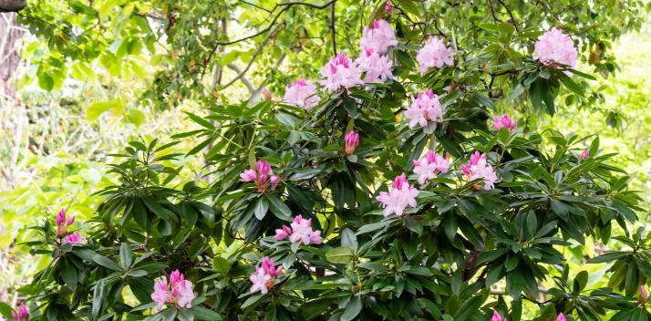 wednesday-15-september