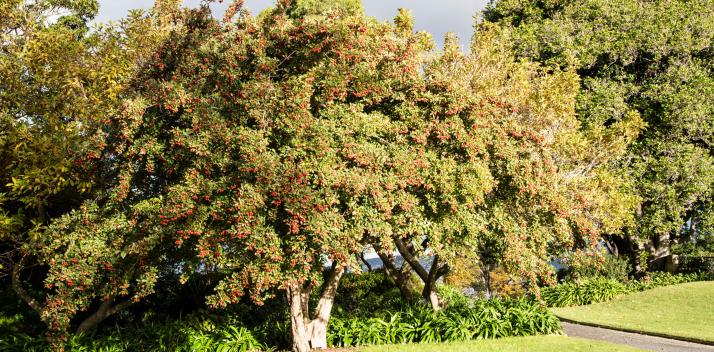 wednesday-29-september