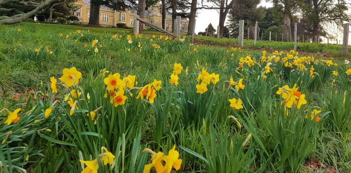 women-supporting-women