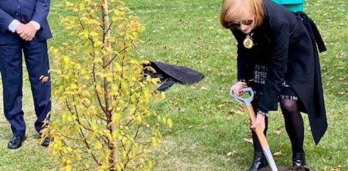 Ceremonial Tree Planting