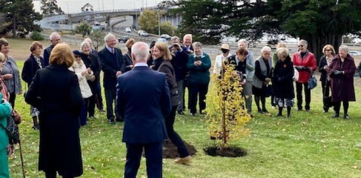 Ceremonial Tree Planting