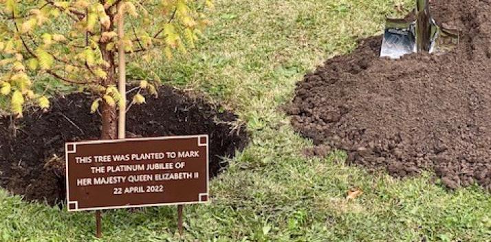 Ceremonial Tree Planting