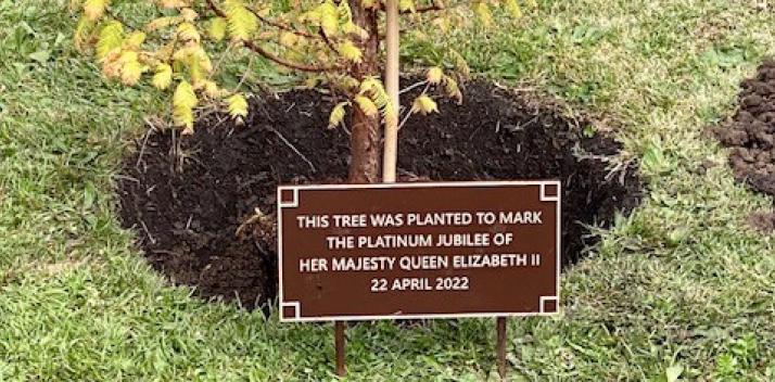 Ceremonial Tree Planting