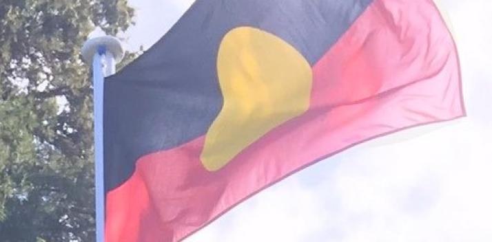 Tasmanian Aboriginal Flag