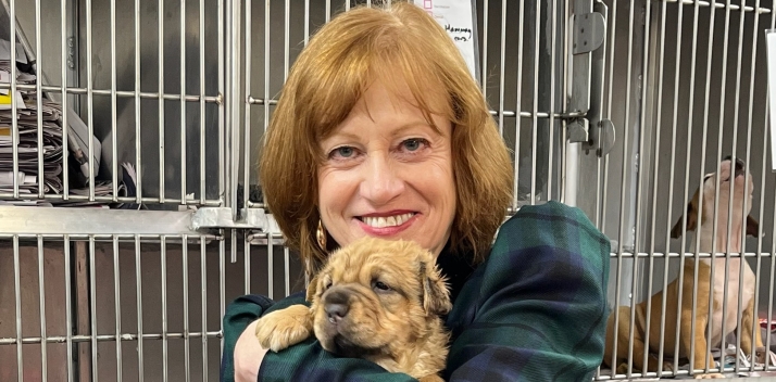 Dogs' Homes of Tasmania