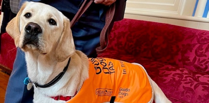 Guide Dogs Tasmania 27-11-23